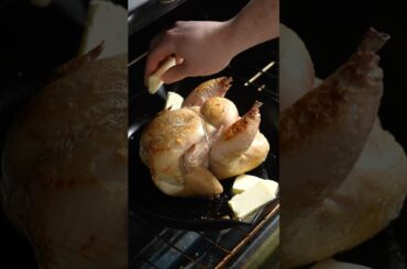 The French Chicken You Need