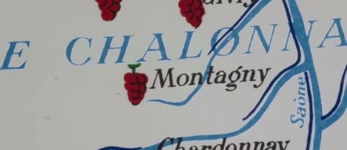 Wine map of Burgundy, vineyards of France, 1954 | SKU: 189781