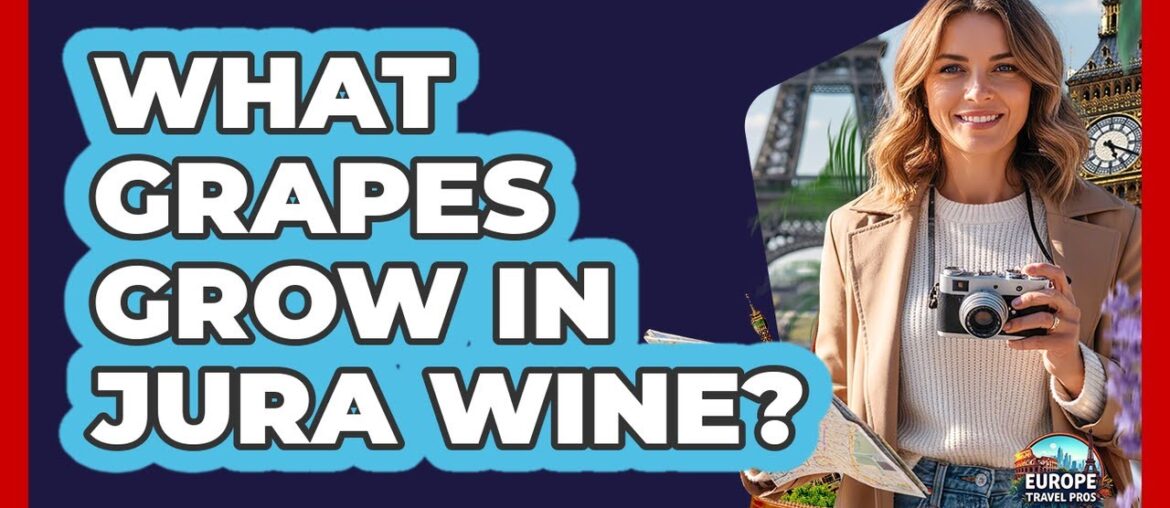 What Grapes Grow In Jura Wine? What Grapes Grow In Jura Wine?