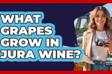 What Grapes Grow In Jura Wine?