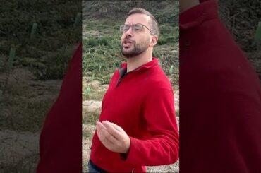 Trench wine #countryside #diy#vineyardlife #portugal #frenchwine