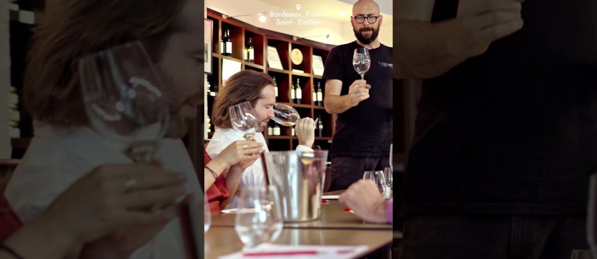 Taste Bordeaux Like a Local With This Tour!