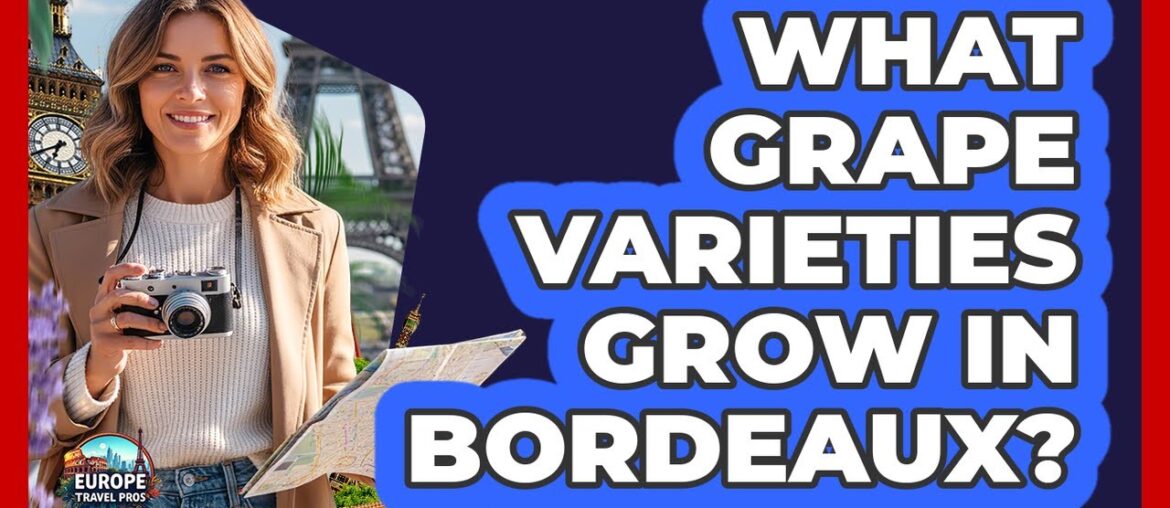 What Grape Varieties Grow In Bordeaux?