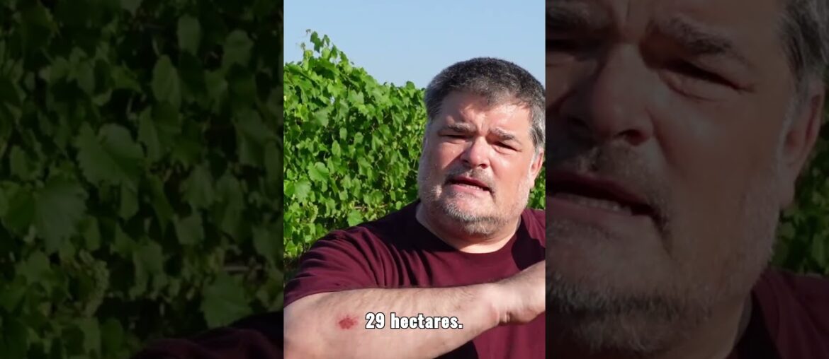 Bijou Splashette : Chateau la Fleur de Bouard 2022 Lalande de Pomerol (Bordeaux)