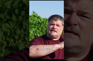 Bijou Splashette : Chateau la Fleur de Bouard 2022 Lalande de Pomerol (Bordeaux)