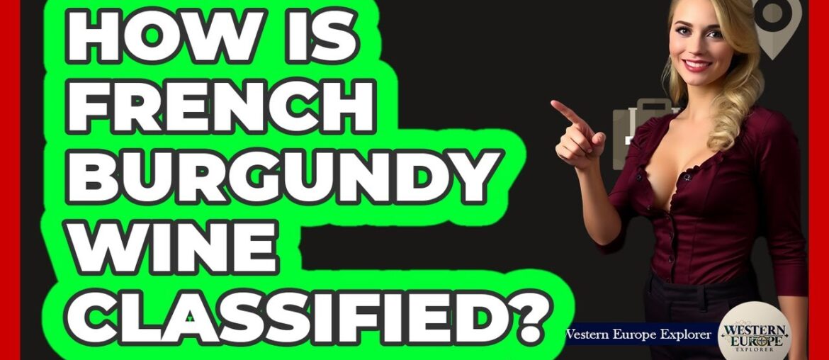 How Is French Burgundy Wine Classified?