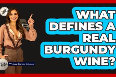 What Defines A Real Burgundy Wine?