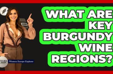 What Are Key Burgundy Wine Regions?
