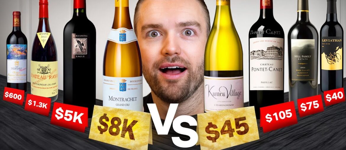 (More!) 10 CHEAP Wines Taste the Same as the MOST EXPENSIVE Wines on Earth