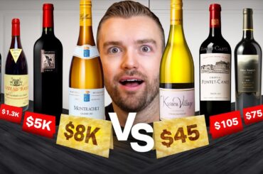 (More!) 10 CHEAP Wines Taste the Same as the MOST EXPENSIVE Wines on Earth