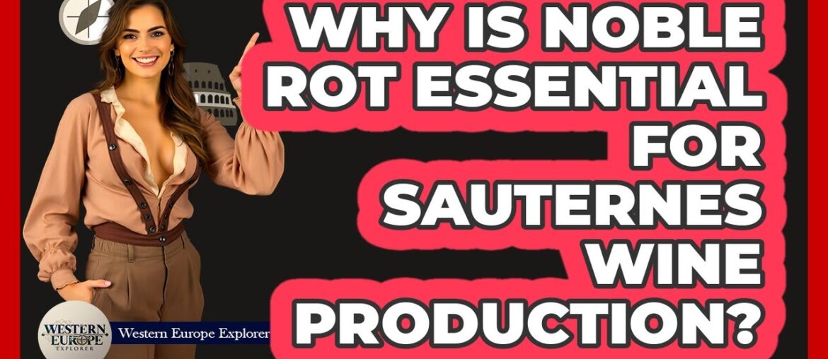 Why Is Noble Rot Essential For Sauternes Wine Production? Why Is Noble Rot Essential For Sauternes Wine Production?