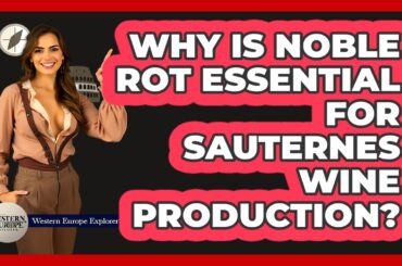 Why Is Noble Rot Essential For Sauternes Wine Production?