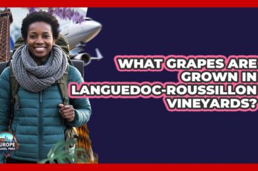 What Grapes Are Grown In Languedoc-Roussillon Vineyards?
