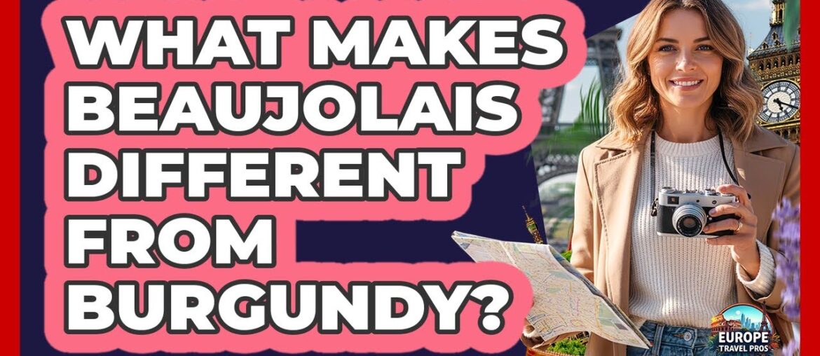 What Makes Beaujolais Different From Burgundy?