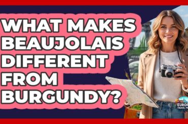 What Makes Beaujolais Different From Burgundy?