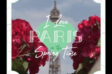 #SeeTheWorldWithTheGreenHen French Restaurant In Dublins Exchequer Street