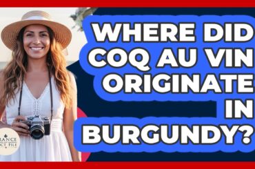 Where Did Coq Au Vin Originate In Burgundy?
