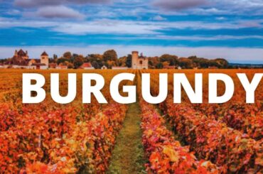 Burgundy France Travel Guide: 22 BEST Things To Do In Burgundy