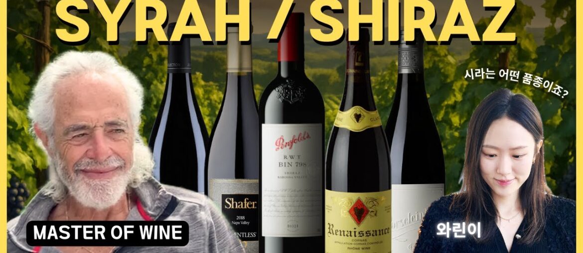 Syrah/Shiraz Explained | Master of Wine Peter Breaks It Down for a Wine Newbie Syrah/Shiraz Explained | Master of Wine Peter Breaks It Down for a Wine Newbie