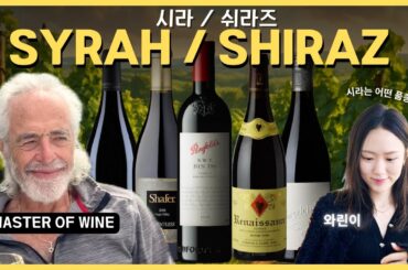 Syrah/Shiraz Explained | Master of Wine Peter Breaks It Down for a Wine Newbie