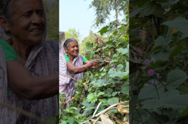 Quick Fry of Beans and Onion Stems #shorts #recipe #cooking