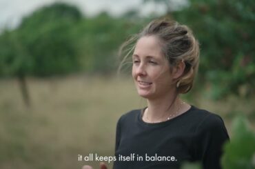 The Future of UK Orchard Fruit | Find & Foster