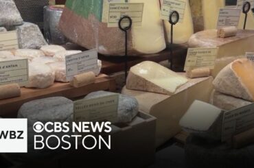 Gourmet Massachusetts grocer known for signature charcuterie counter