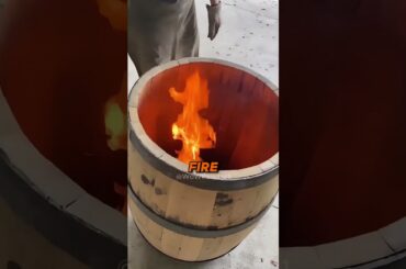 Why Are Wine Barrels Made from French Oak?