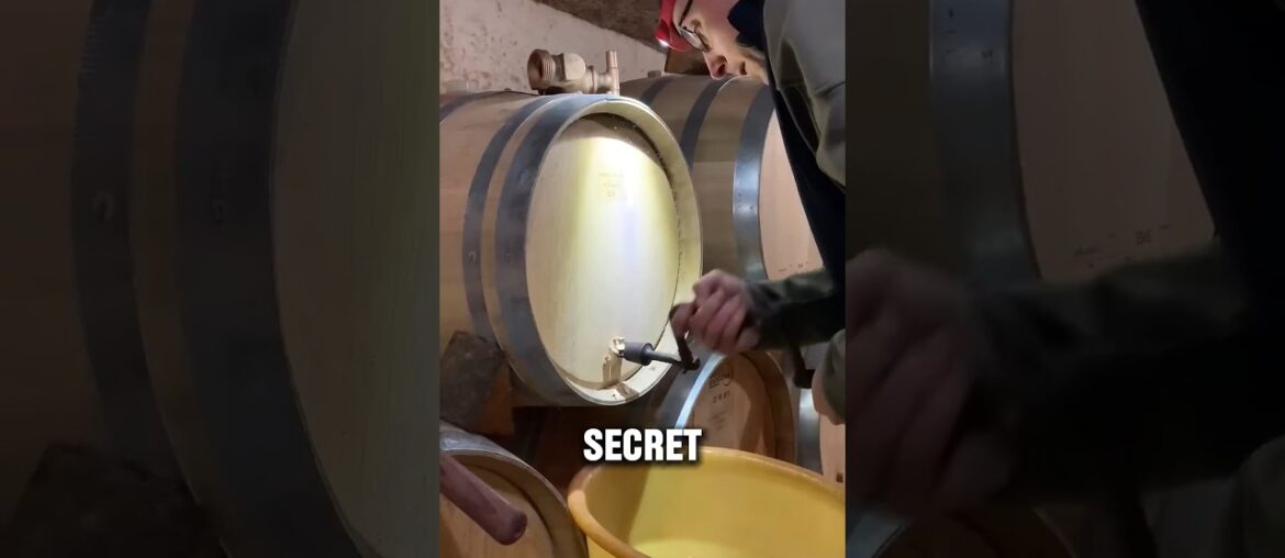 The Hidden Secret Behind the World’s Most Precious Wine