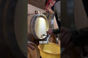 The Hidden Secret Behind the World’s Most Precious Wine