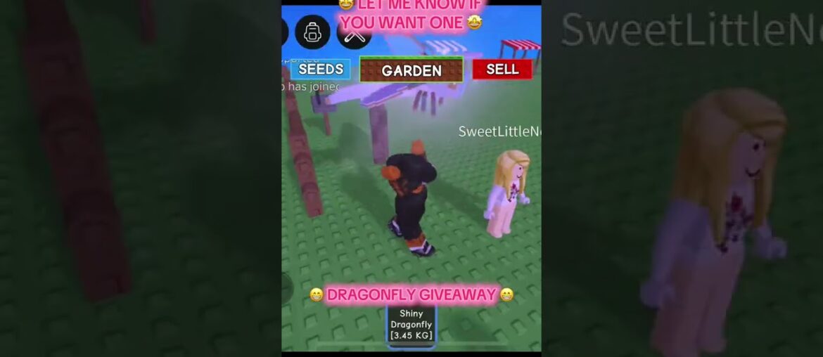 GAG GIVEAWAY #growagardenupdate #growagardentrading #growagardengiveaway #gagtrading #gagtrades PVB GAG GIVEAWAY #growagardenupdate #growagardentrading #growagardengiveaway #gagtrading #gagtrades PVB