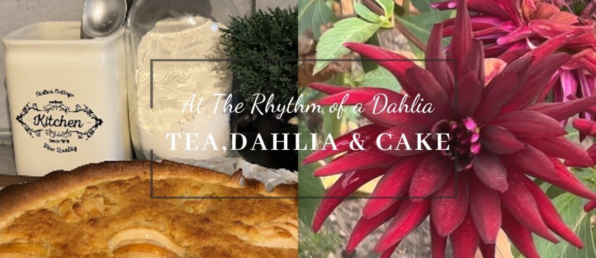 A Dahlia in the French Countryside. Tea, Dahlia & Tart Slow Living.