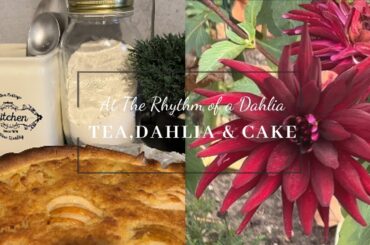 A Dahlia in the French Countryside. Tea, Dahlia & Tart Slow Living.