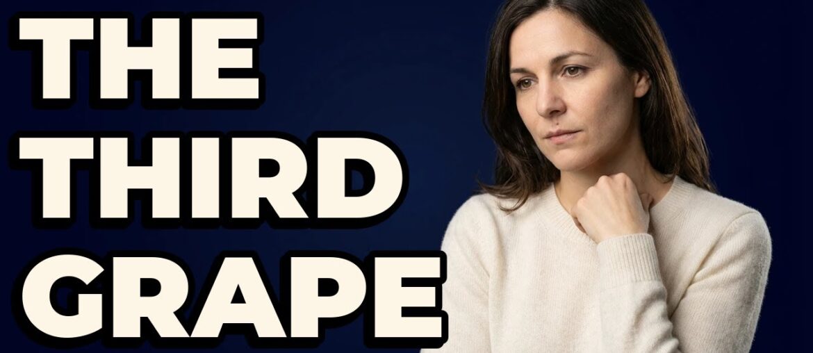 Is Pinot Meunier A Main Grape Variety For Champagne?