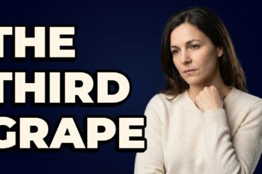 Is Pinot Meunier A Main Grape Variety For Champagne?