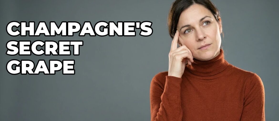 Where Do Pinot Meunier Grapes Grow Best For Champagne?