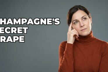 Where Do Pinot Meunier Grapes Grow Best For Champagne?