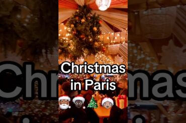 This Paris moment was worth the move #paris #christmas #blackwomenabroad