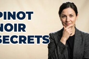 Where Are Pinot Noir Grapes Grown For Champagne Wine?