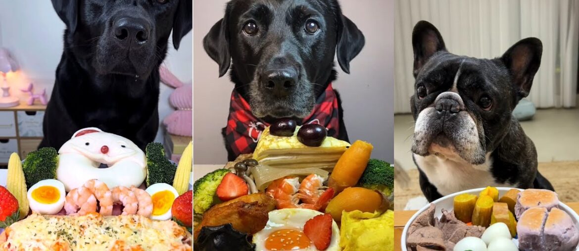 Luxury Dog Food Battle | Black Labradors vs FrenchBulldog Dogs Try Seafood Platters & Special Treats