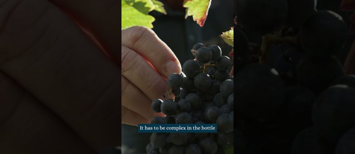 How to pair Rauzan-Segla with food