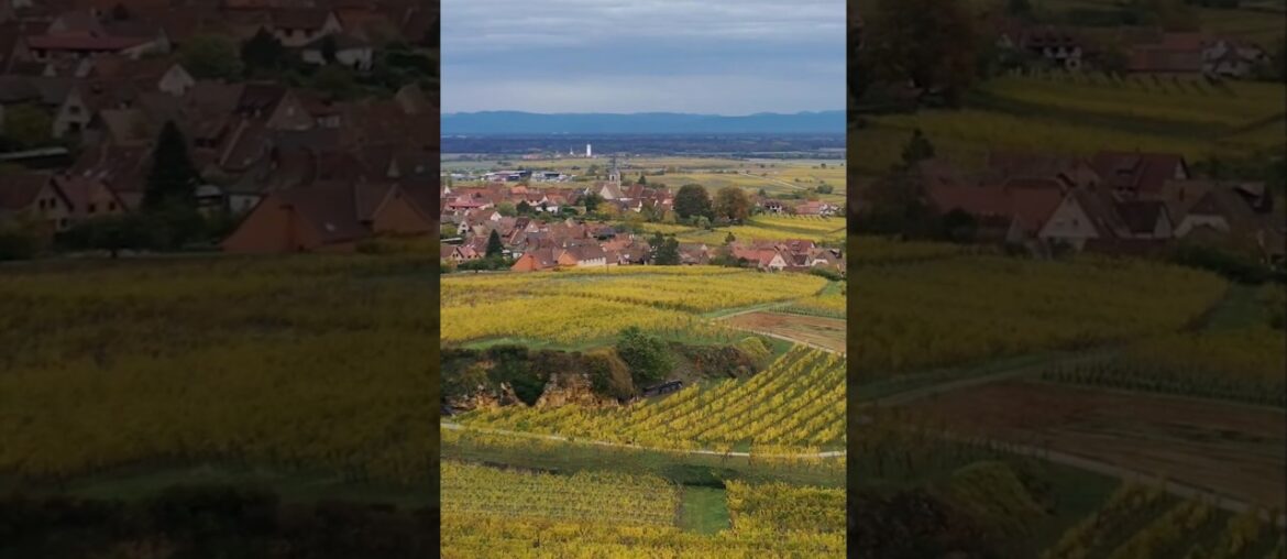 L’Alsace l’Automne!Toujours un Must#Strasbourg#Colmar#Alsace#Murbach#PetiteVenise#FranceTravel#shots L'Alsace l'Automne!Toujours un Must#Strasbourg#Colmar#Alsace#Murbach#PetiteVenise#FranceTravel#shots