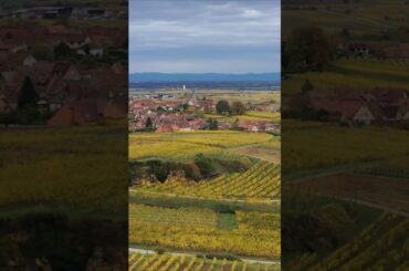 L'Alsace l'Automne!Toujours un Must#Strasbourg#Colmar#Alsace#Murbach#PetiteVenise#FranceTravel#shots