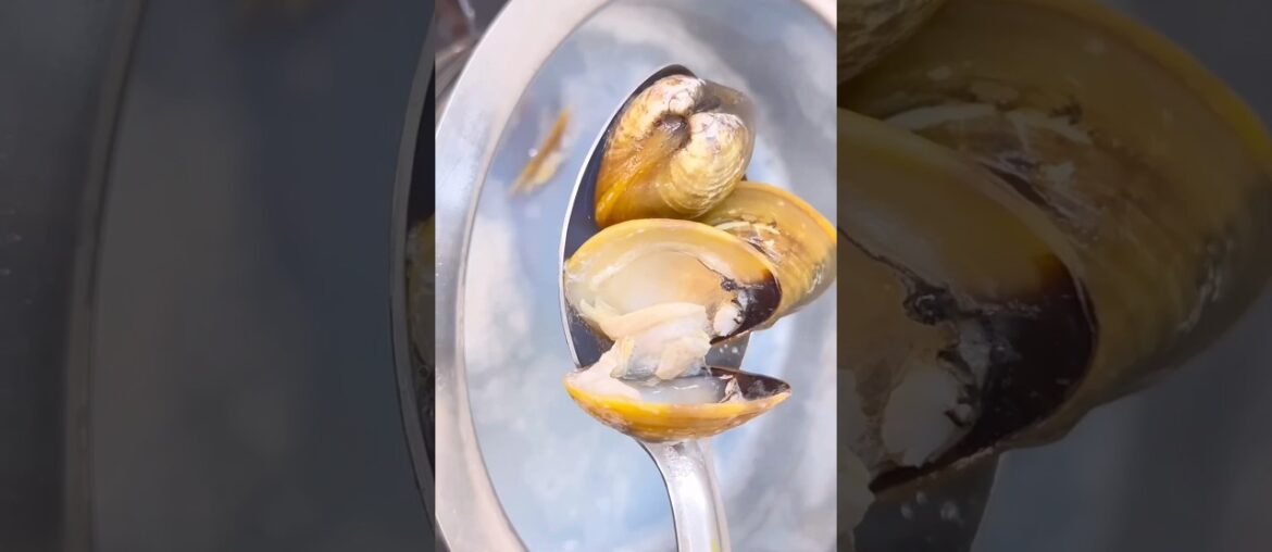 Eat Like French, Cook Like Indian Desi #ytshorts #food #reels #recipe #cooking #trending #shorts