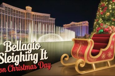 Christmas crowds at Bellagio are absolutely insane