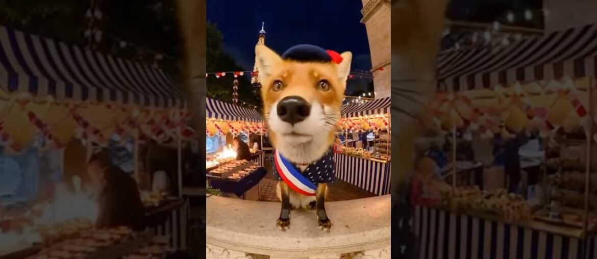 Foxy Takes on French Cuisine Critics!