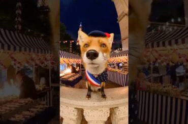 Foxy Takes on French Cuisine Critics!