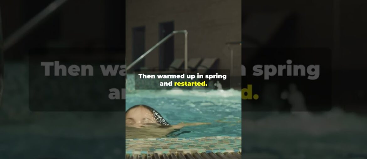 Champagne’s Bubbles Were a Mistake!!?? Champagne’s Bubbles Were a Mistake!!??