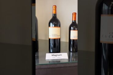 The BIGGEST Wine Bottle We Have Seen