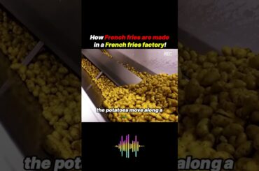How French fries are made in a French fries factory #facts #breadbaker #breadbaking